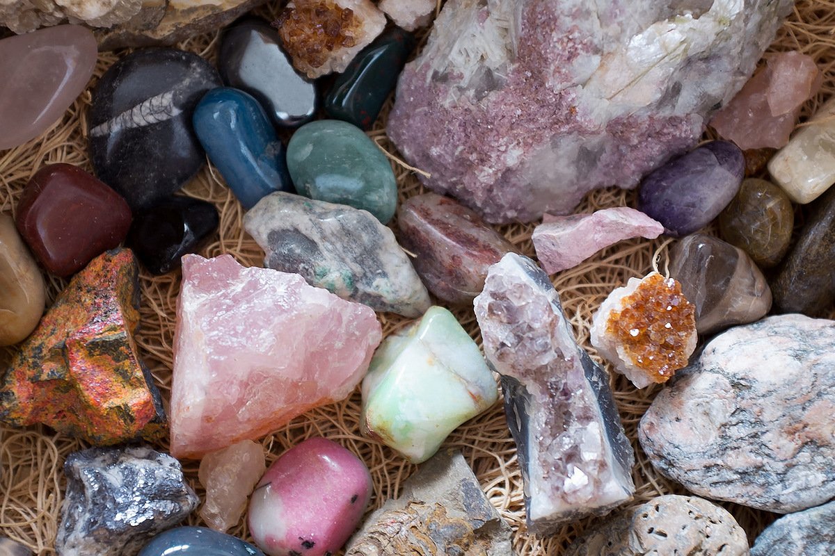 Выставка будет интересна и профессионалам, и любителям