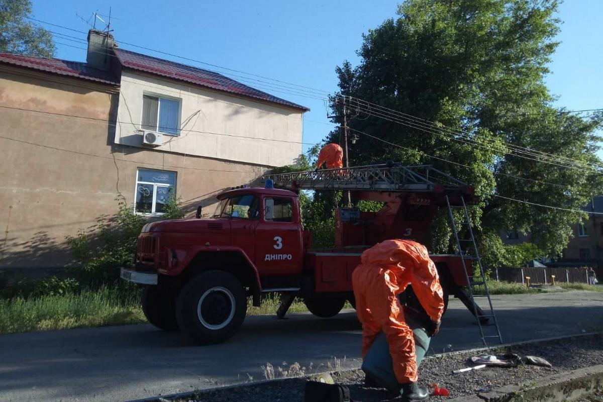 Рой пчел поселились на стене жилого дома Рой пчел поселились на стене жилого дома
