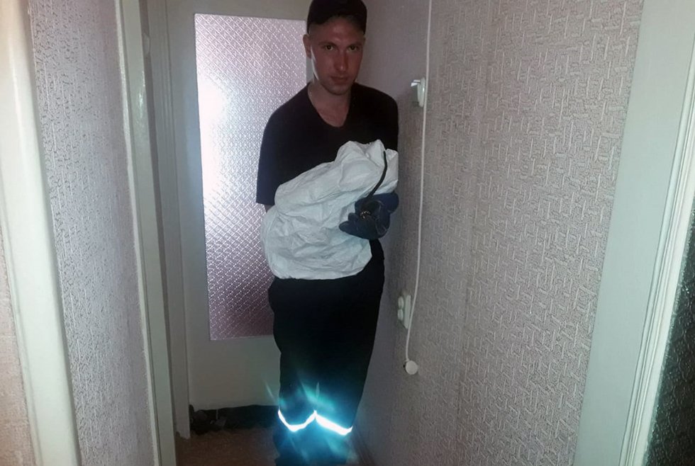 В Днепре в квартиру к женщине заползла змея 1