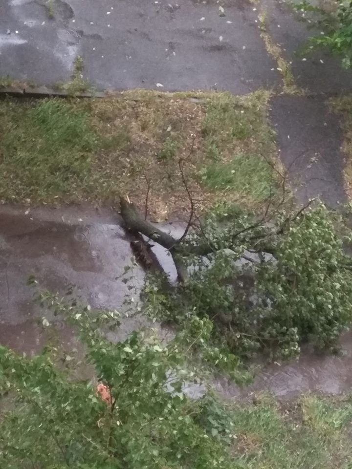 Дождь, град и порывы ветра: хроника непогоды в Днепре 2