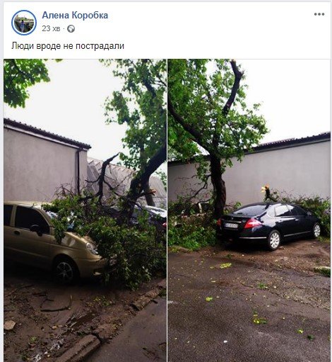 Дождь, град и порывы ветра: хроника непогоды в Днепре 14