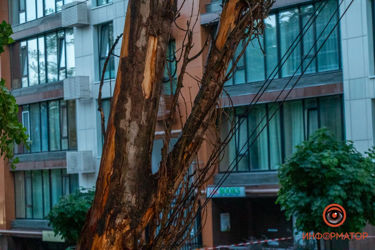 Ветка оборвала интернет кабели Ветка оборвала интернет кабели