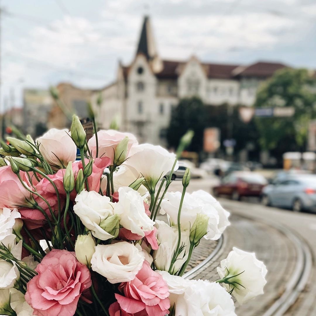 Если бы у Днепра был Instagram: ТОП красивых фотографий города 3