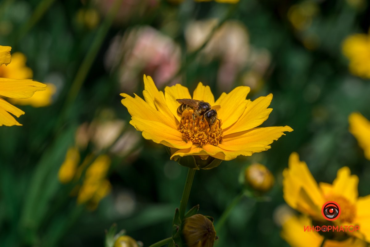 Остановитесь и понюхайте цветы