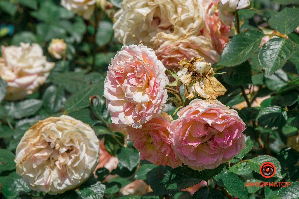 Обращайте внимание