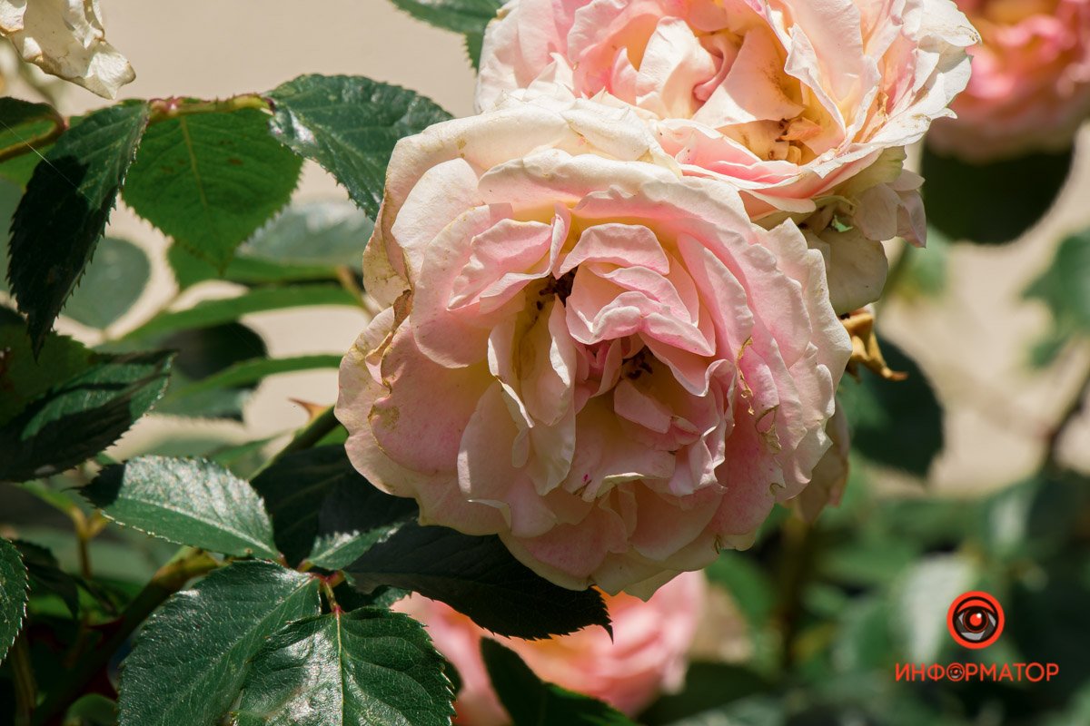 Днепр прекрасен