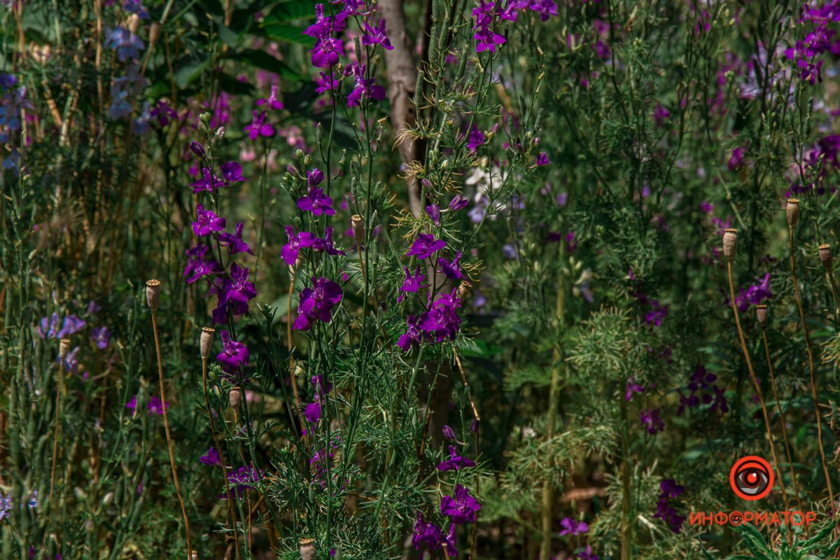 Наш город — удивительный