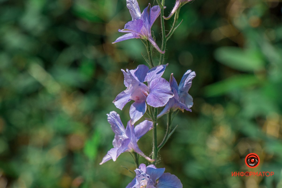 В парке сейчас хорошо
