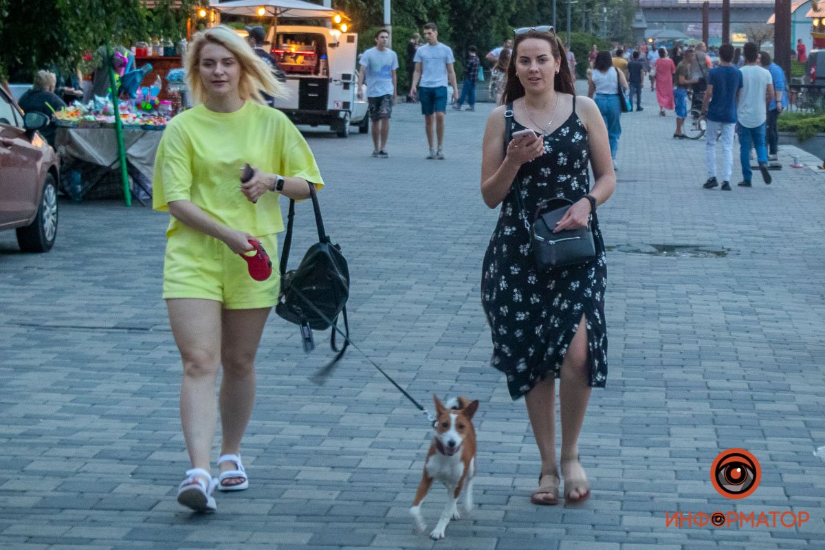 Рады прогулке все Рады прогулке все