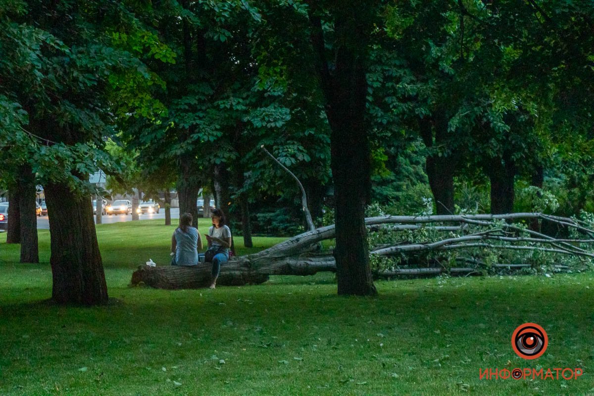 Непогода - не помеха Непогода - не помеха