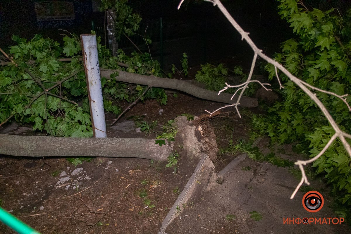 Одно дерево вырвало с корнем