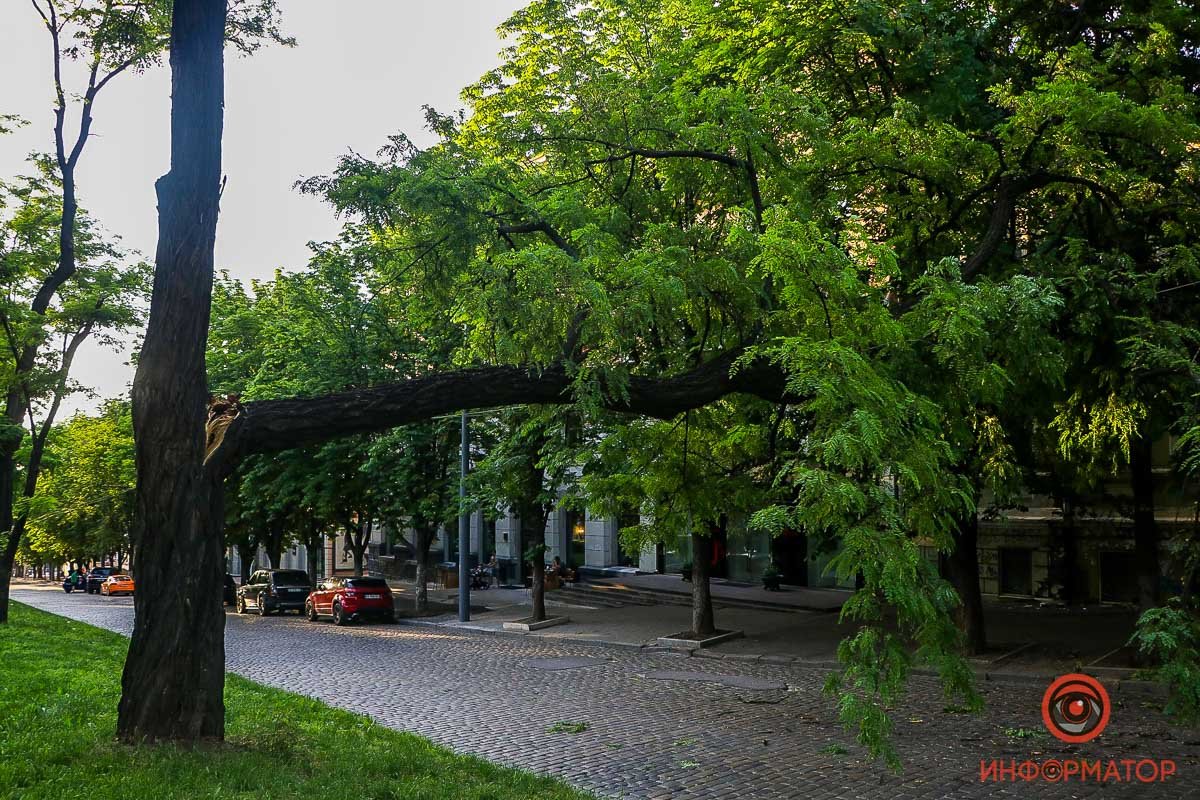 Ветка может рухнуть в любой момент