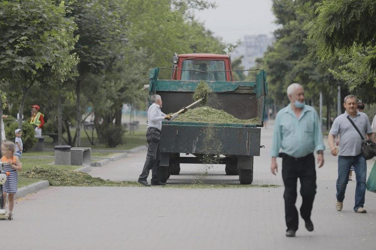 Коммунальщики Днепра вышли на тропу войны с амброзией 1