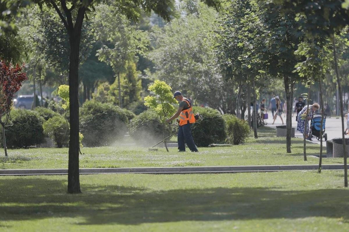 Коммунальщики Днепра вышли на тропу войны с амброзией 2