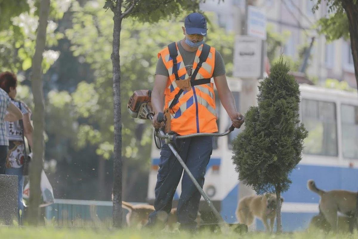 Коммунальщики Днепра вышли на тропу войны с амброзией 3
