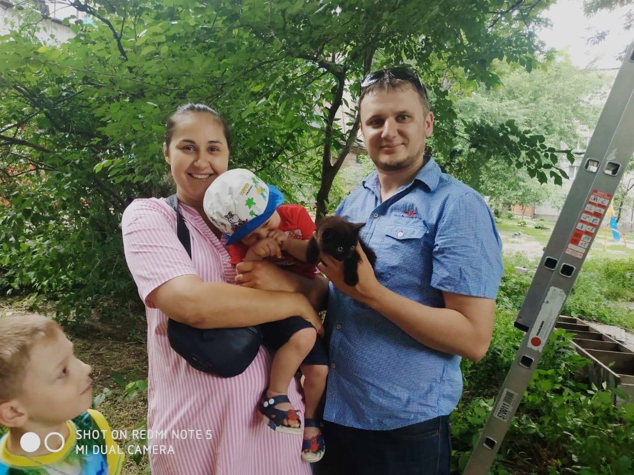 В Днепре спасали котенка, который застрял на дереве на высоте 6 метров 1