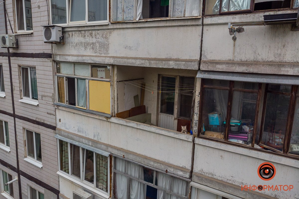 Как в Днепре все городские службы спасали кота, закрытого на балконе, и что нужно делать в таких случаях 1