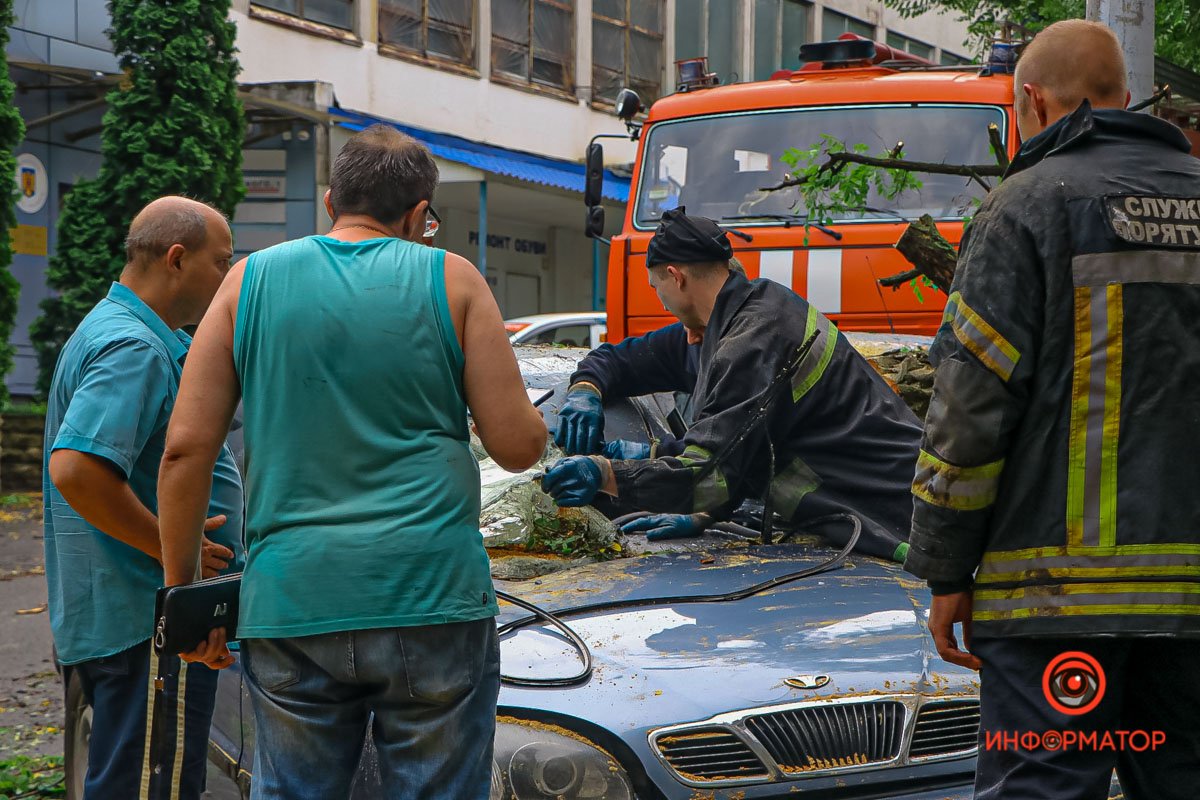 В Днепре на Ушинского дерево рухнуло на Daewoo и Mercedes 1