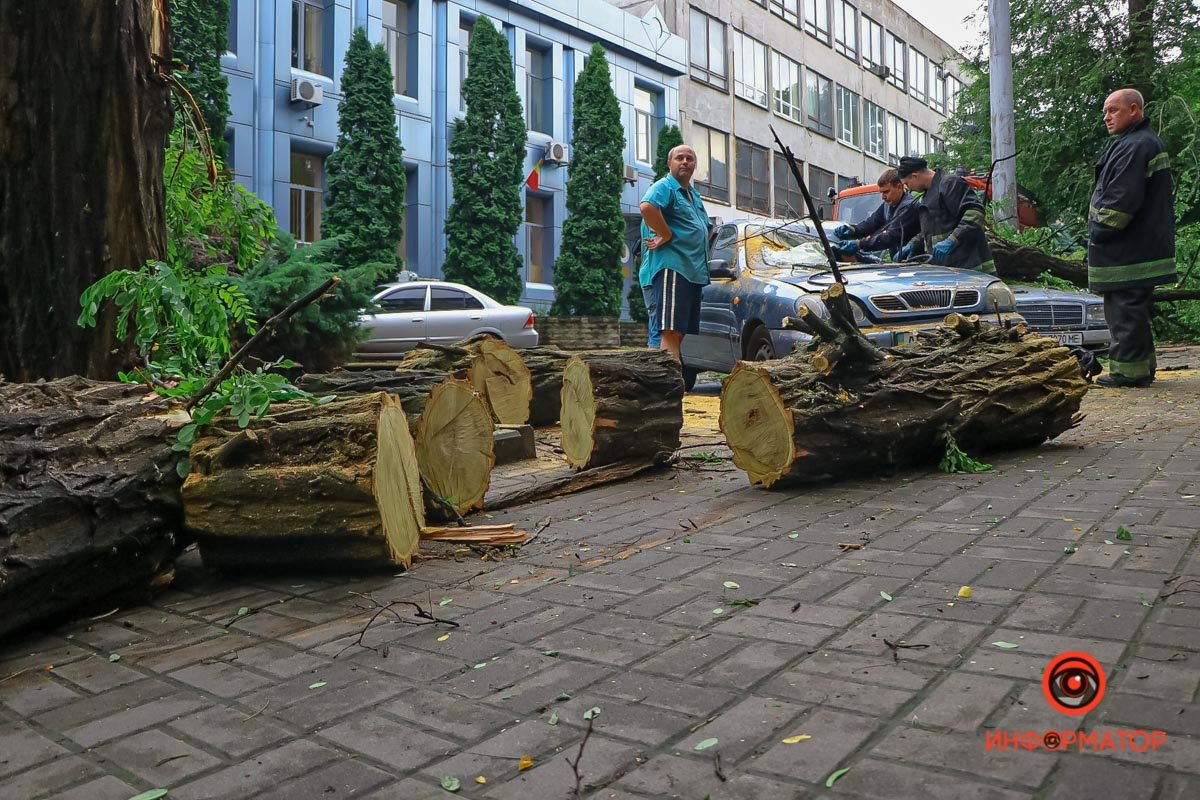 В Днепре на Ушинского дерево рухнуло на Daewoo и Mercedes 2