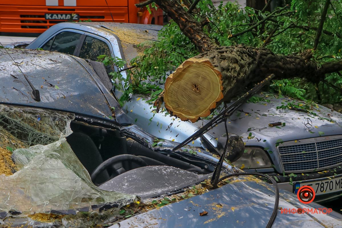 В Днепре на Ушинского дерево рухнуло на Daewoo и Mercedes 3