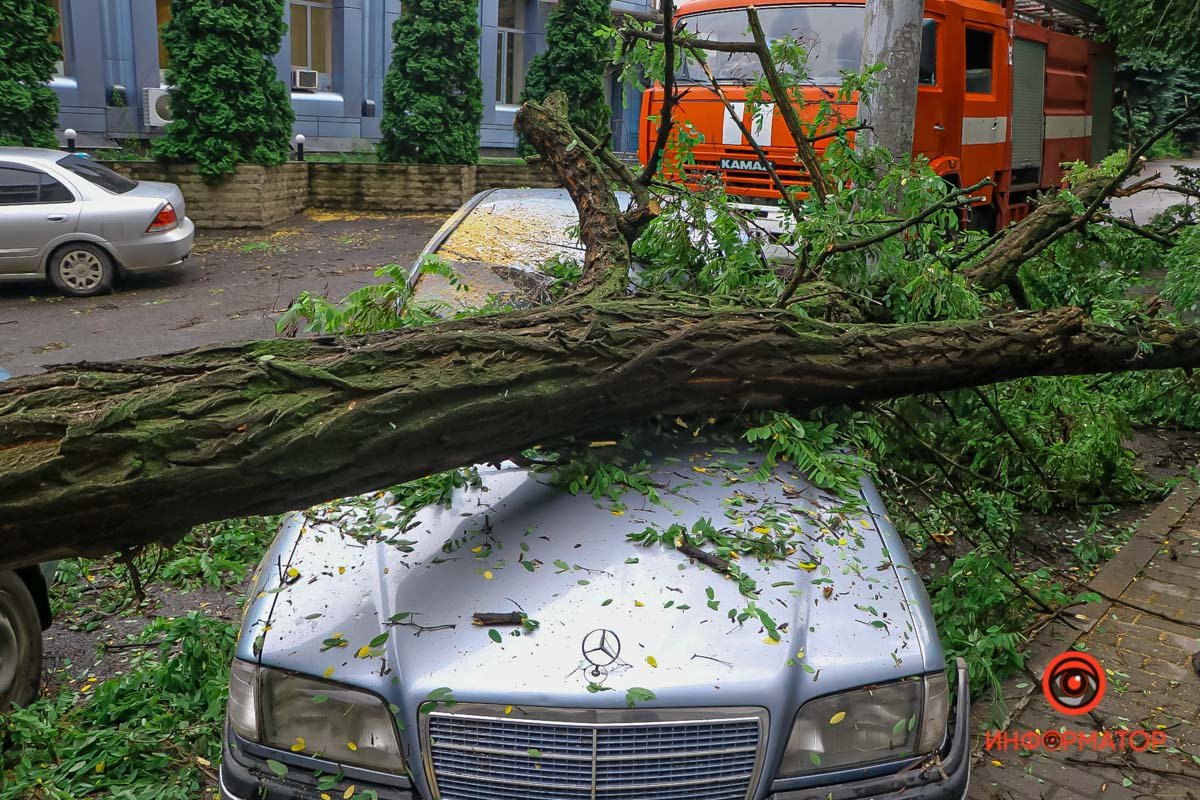В Днепре на Ушинского дерево рухнуло на Daewoo и Mercedes 4