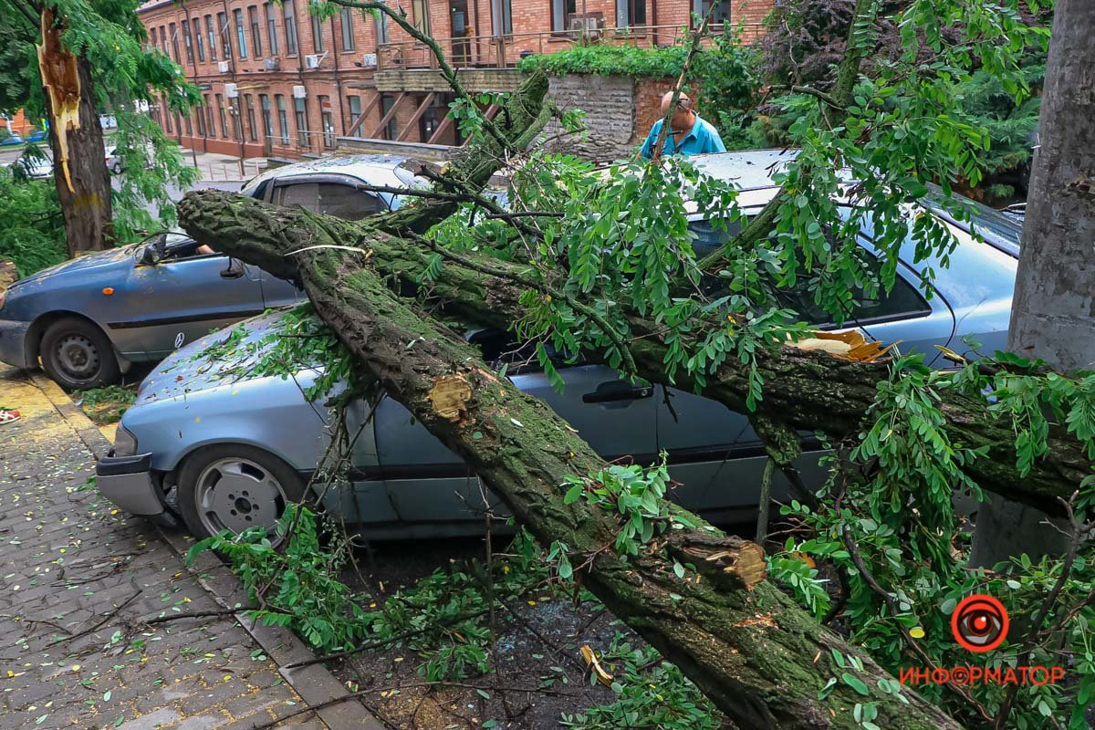 В Днепре на Ушинского дерево рухнуло на Daewoo и Mercedes 5