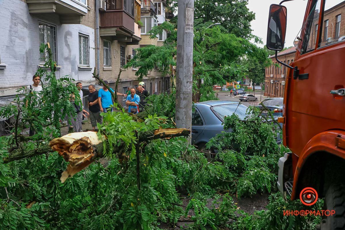 В Днепре на Ушинского дерево рухнуло на Daewoo и Mercedes 6