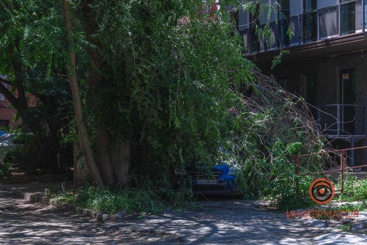 Никто не пострадал