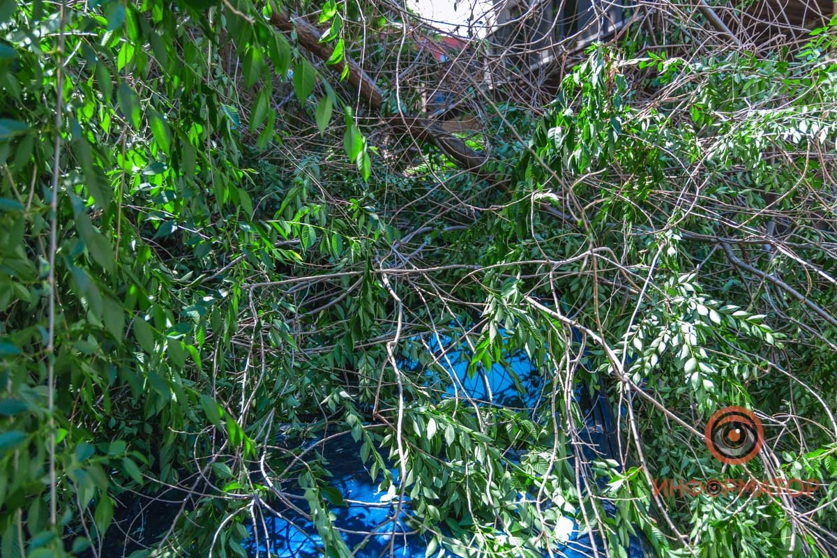 Дерево упало на авто