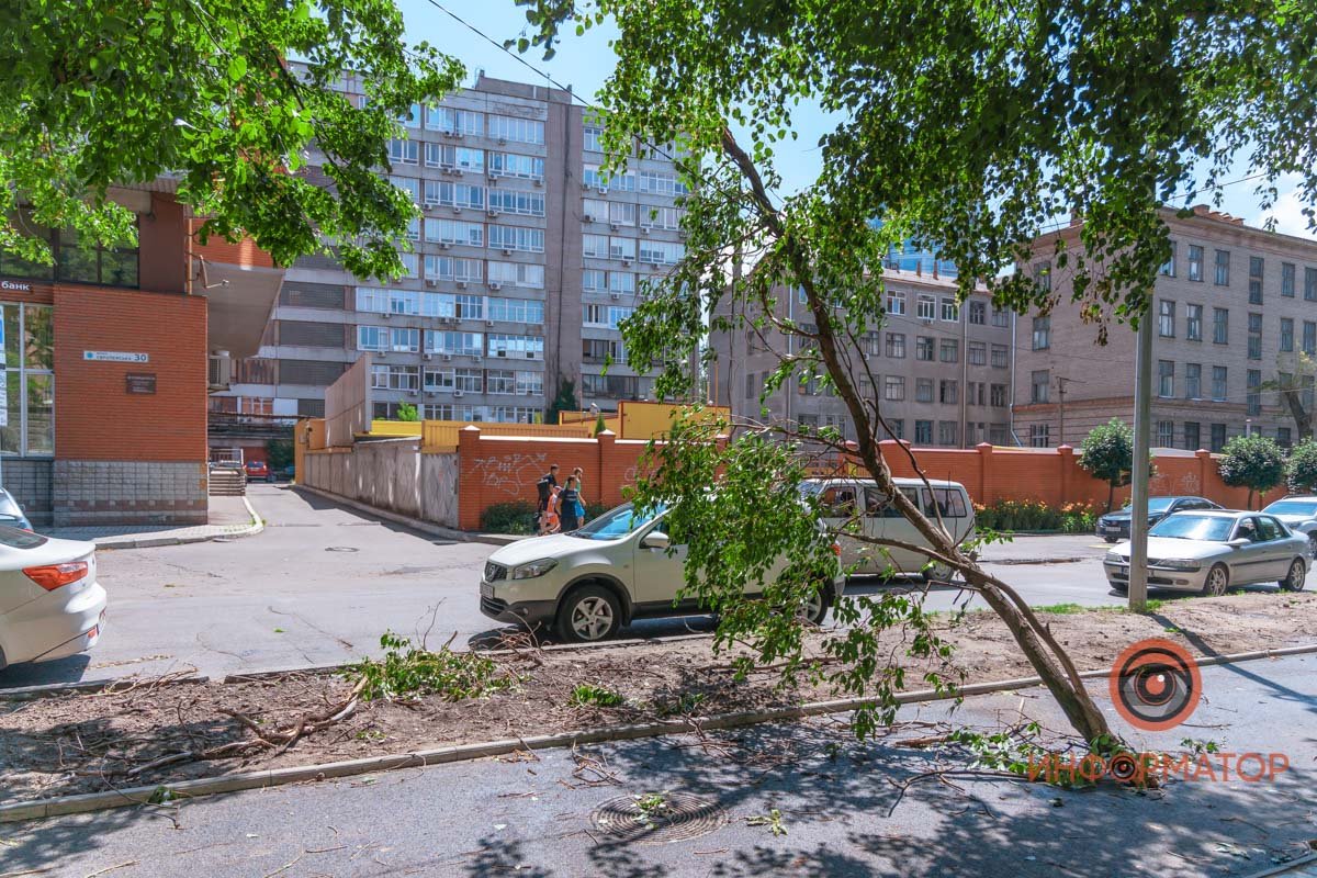 Скоро ветку уберут