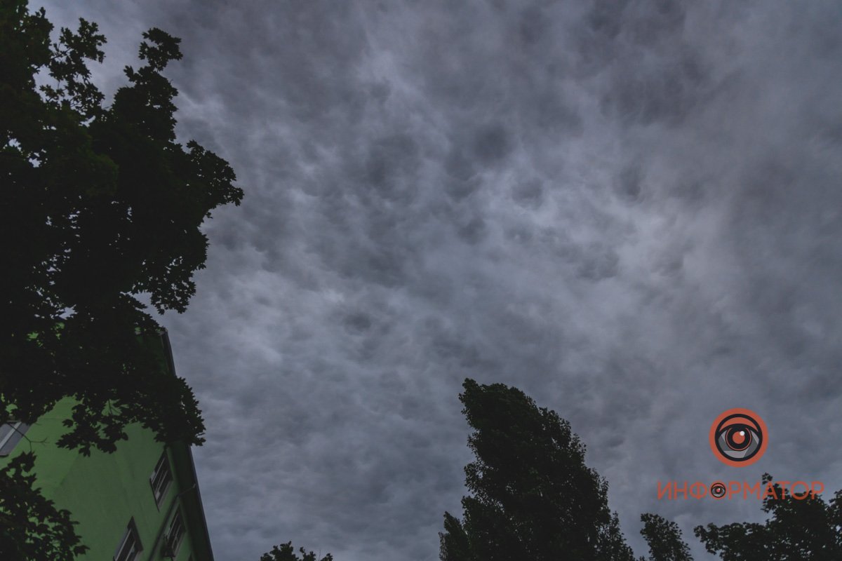 Покрытое белыми трещинками