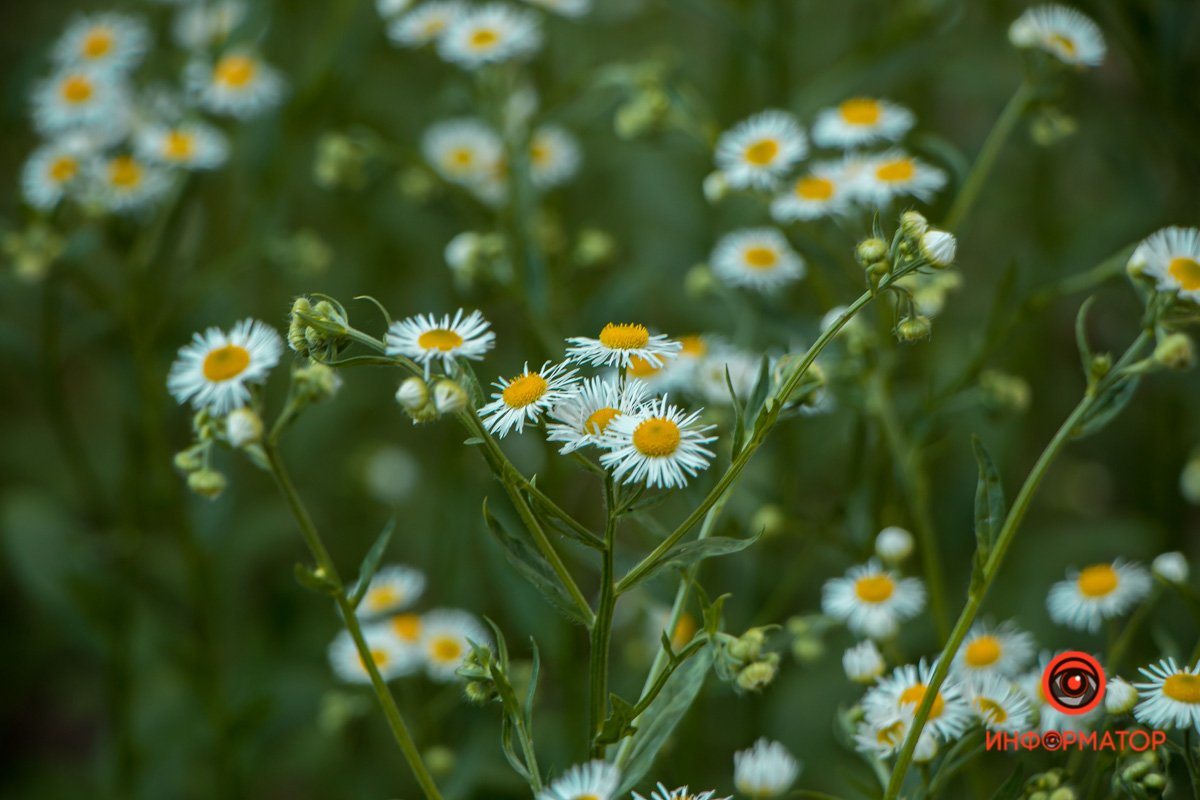 Радуйтесь каждому дню Радуйтесь каждому дню