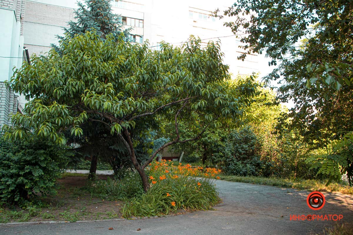 Уютные дворики Уютные дворики