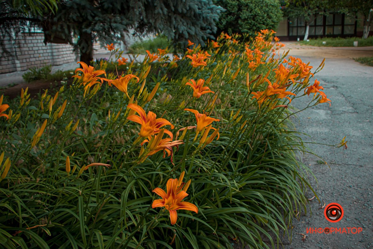 Любите место, где живете Любите место, где живете