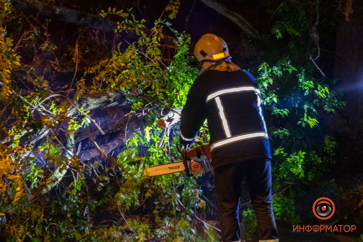 Сотрудники ГСЧС убрали дерево 