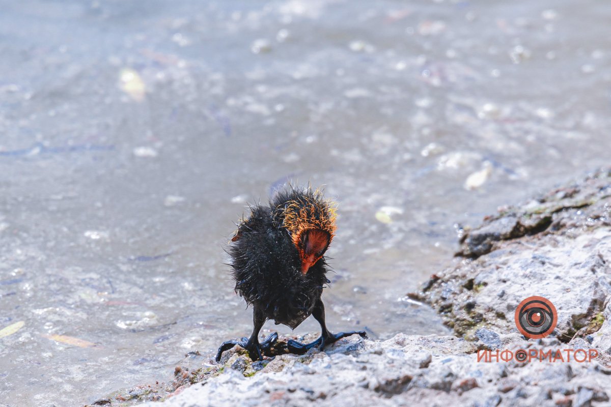 Что я такое?