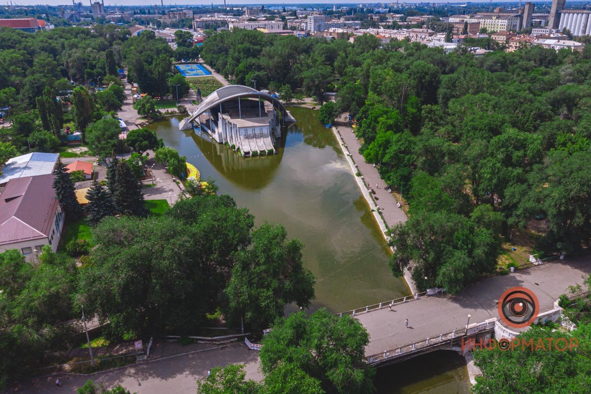 Птенчики в парке Глобы