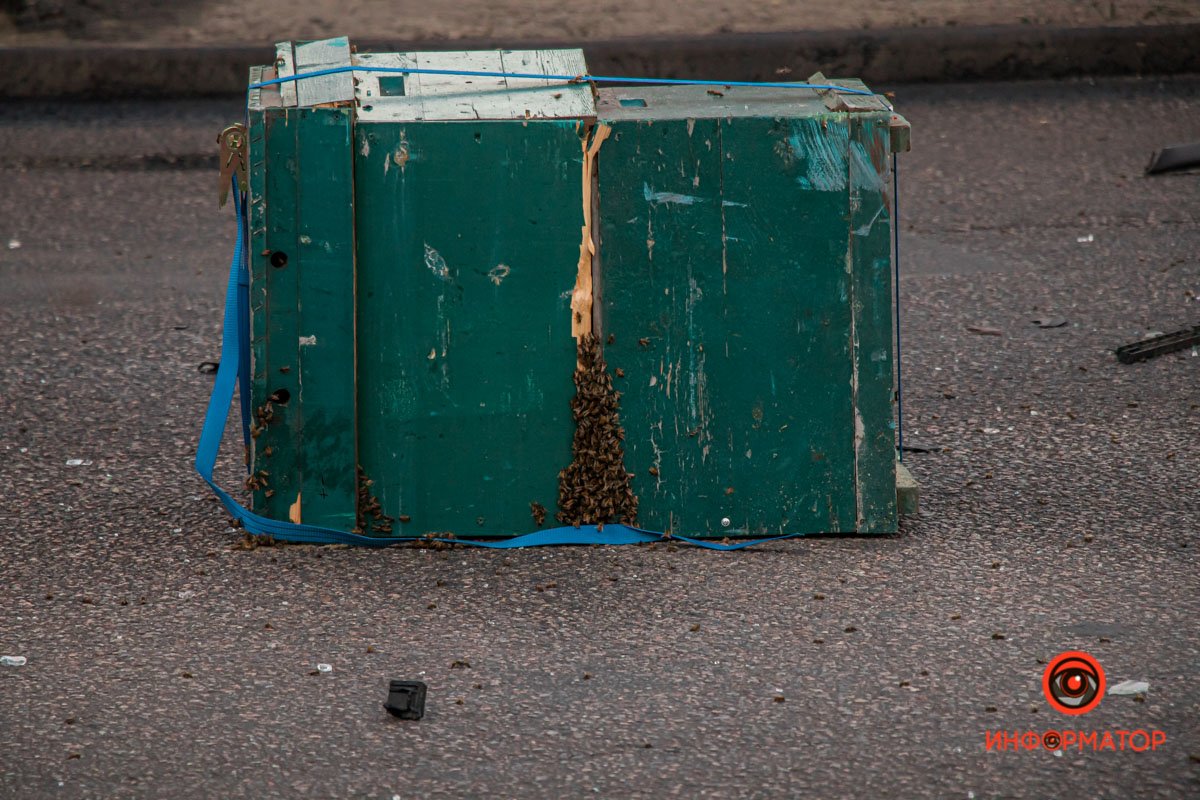 В Днепре на Байкальской столкнулись DAF с песком и Mercedes с пчелиными ульями: один человек погиб, ребенка забрала скорая 12