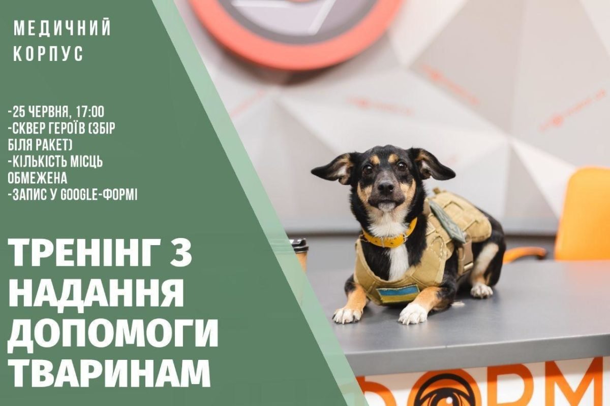 Спасение животных в наших руках Спасение животных в наших руках