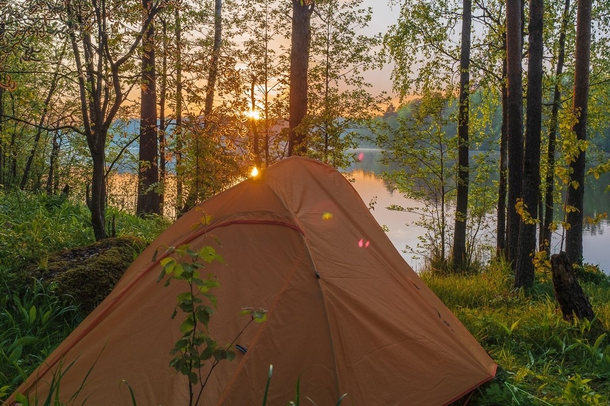 Поход по всем правилам Поход по всем правилам