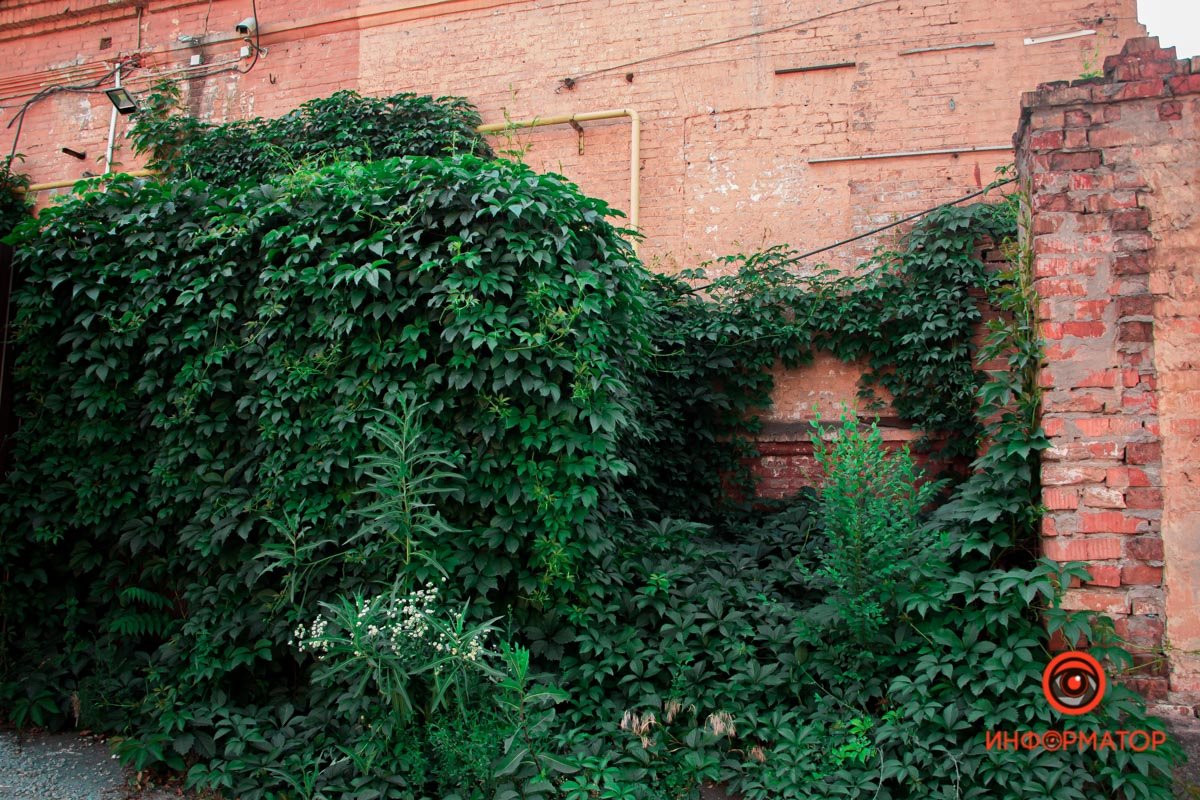 Днепр в деталях: угадайте, где это находится 18