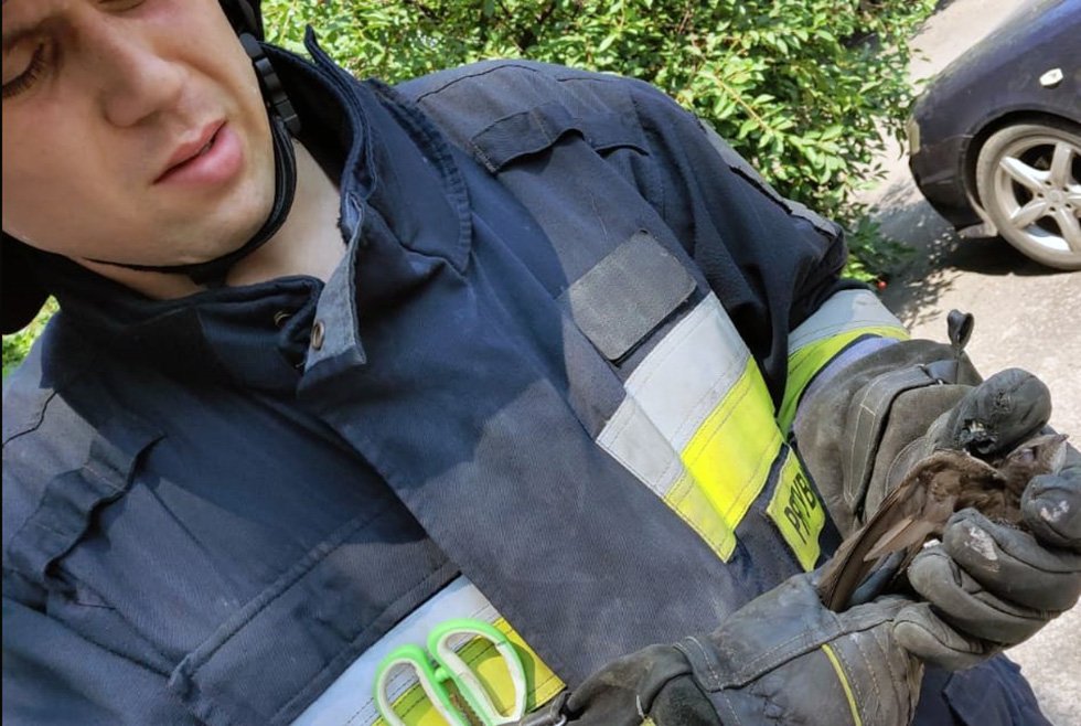 Птицу успешно спасли Птицу успешно спасли