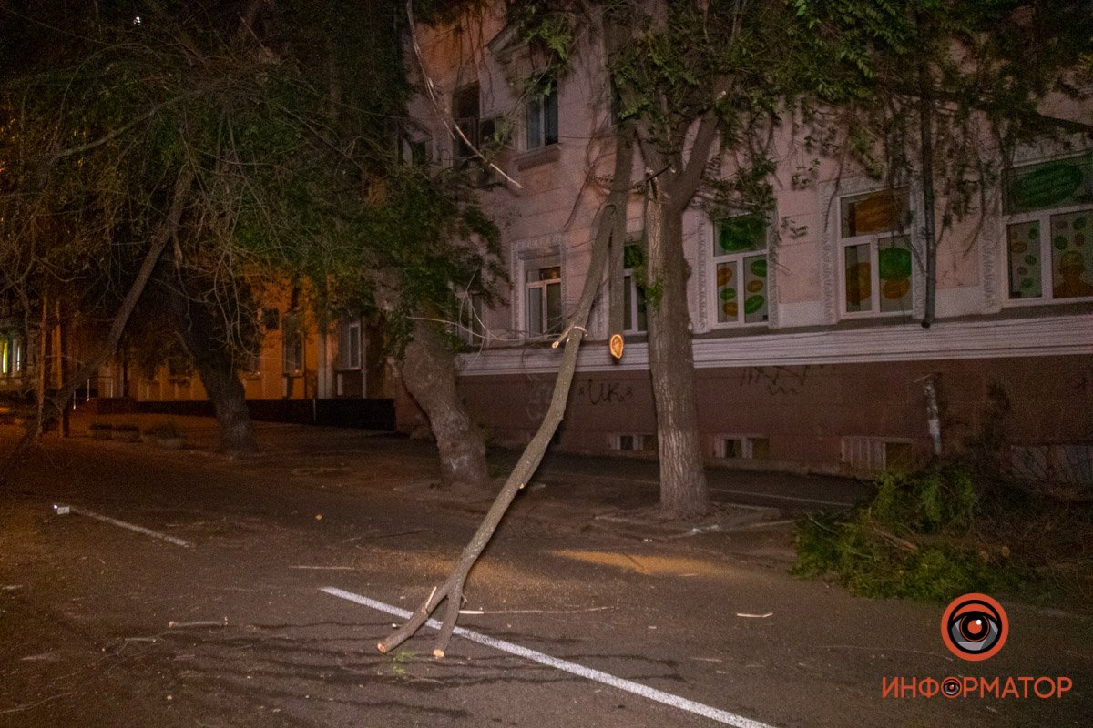 Ветка упала на проезжую часть Ветка упала на проезжую часть