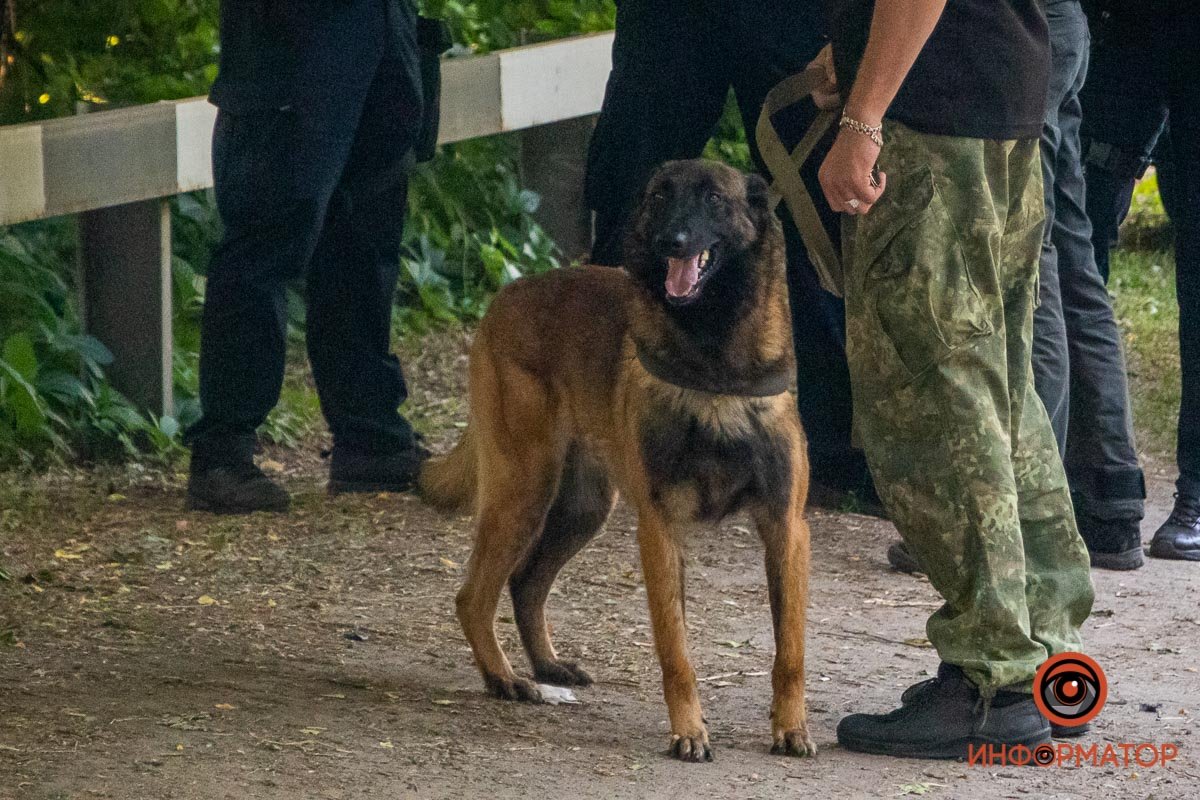 В Днепре на Гальченко обнаружили труп с головой в земле 2