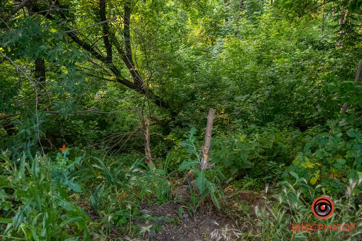 В Днепре на Гальченко обнаружили труп с головой в земле 3