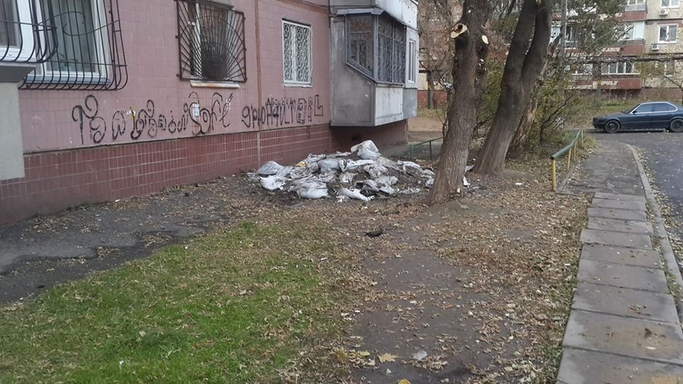 14947495_1312461848788099_4212256607857277088_n