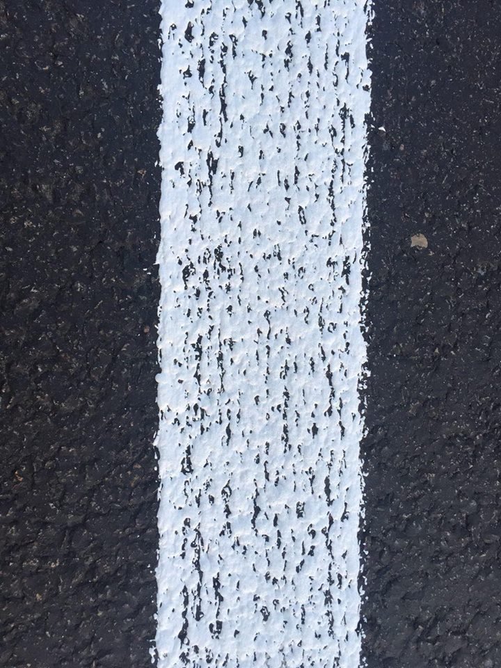 14956395_10205894052710865_273003228689488998_n