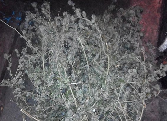 наркотики метамфетамин марихуана 2