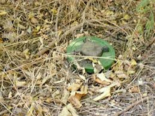 c564cf378a3c94ebd930a3521d398a14