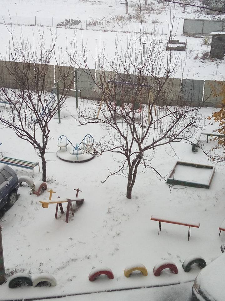 15078862_722145741272946_5450215670327243223_n